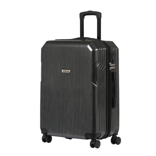 Titanium | Large Hard Luggage